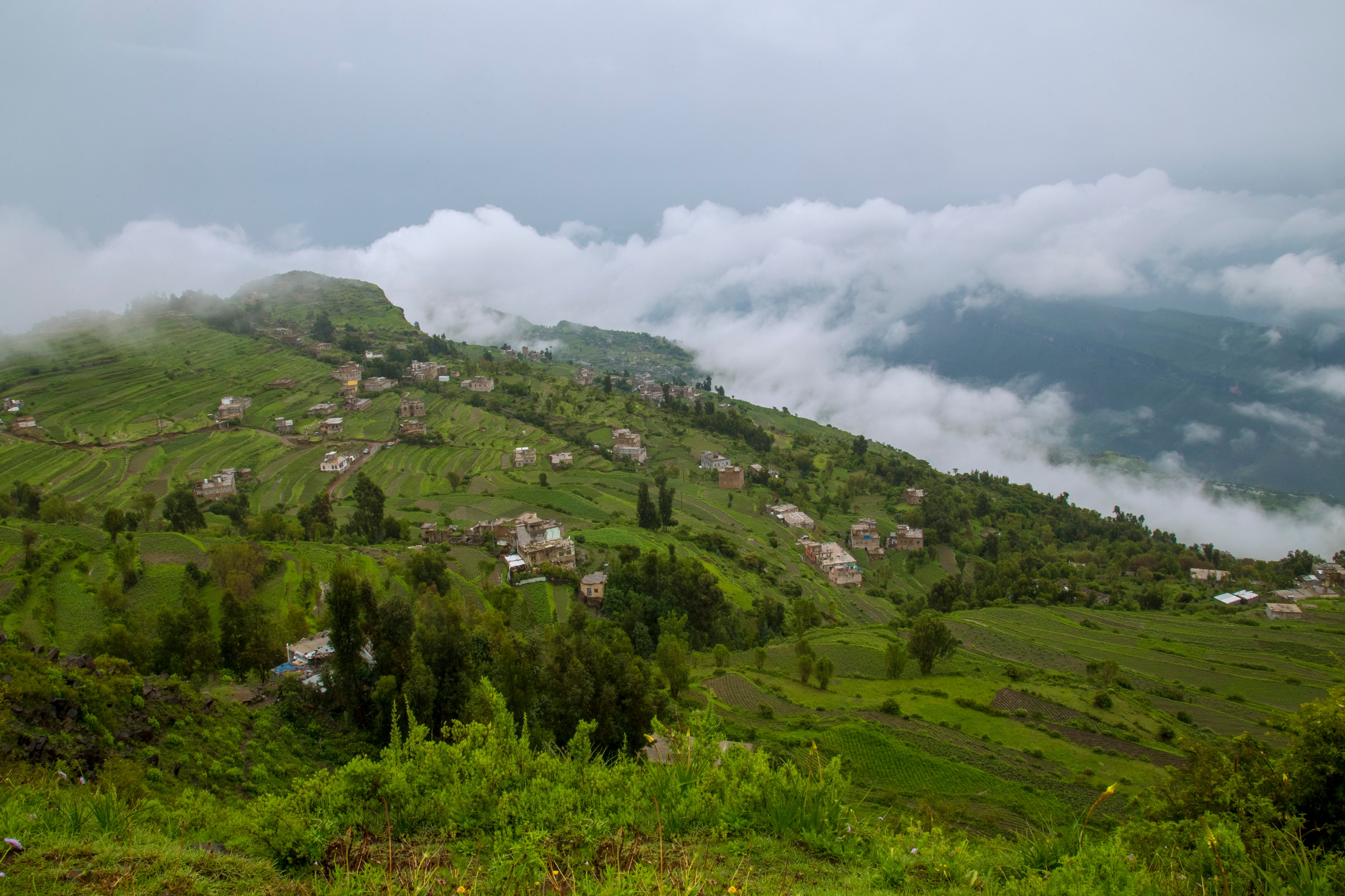 Load video: Journey through Yemen's ancient mountain terraces, meet the farmers who preserve centuries of tradition, and discover why Yemeni coffee continues to captivate the world's finest specialty roasters.